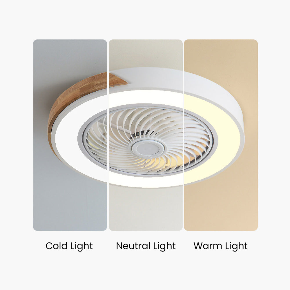 BREEZELUX – Modern Wooden Ceiling Fan with LED Light