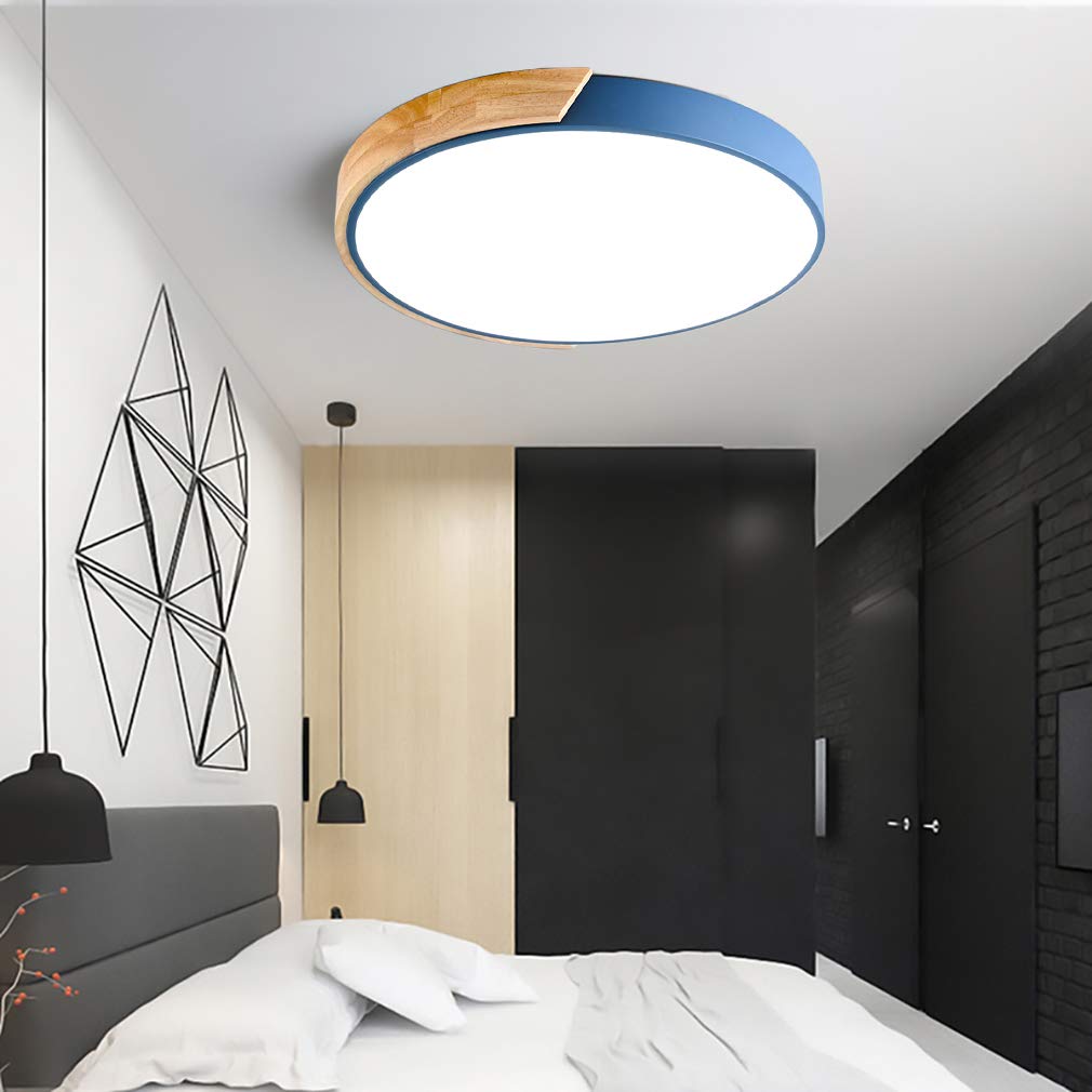 Colorful LED Ceiling Light Fixture β Modern Round Design for Hallway, Dining Room, and Living Room