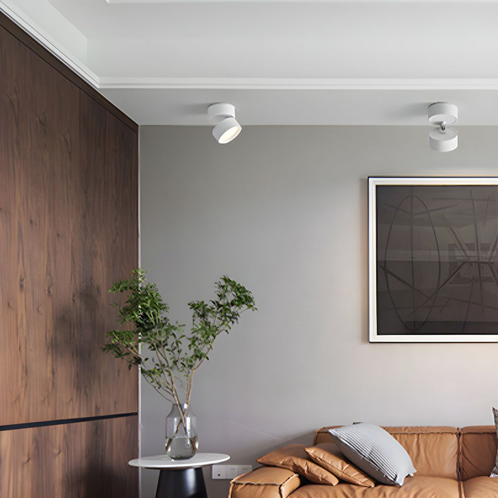 Compact Adjustable Ceiling Spotlight – Energy-Efficient LED Living Room Spotlights in Sleek Aluminum Finish