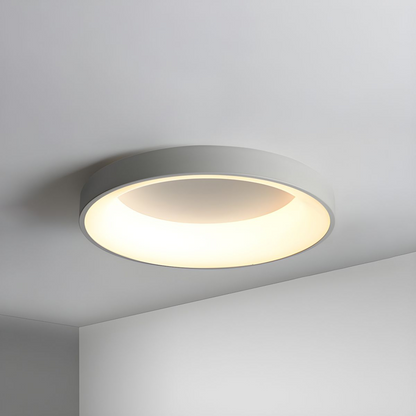 Vibrant Spectrum LED Ceiling Fixtures - Modern Illumination with a Touch of Color