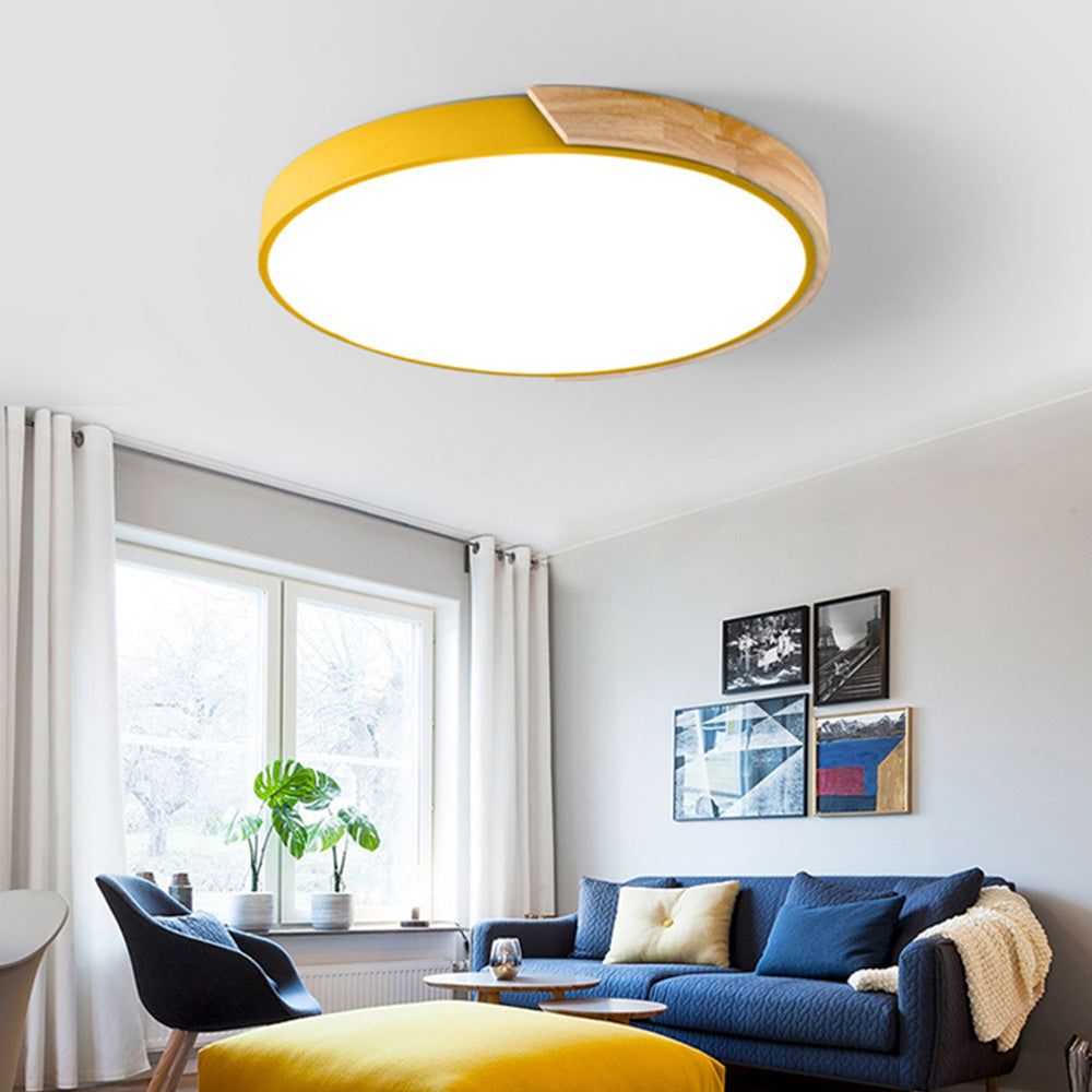 Colorful LED Ceiling Light Fixture – Modern Round Design for Hallway, Dining Room, and Living Room