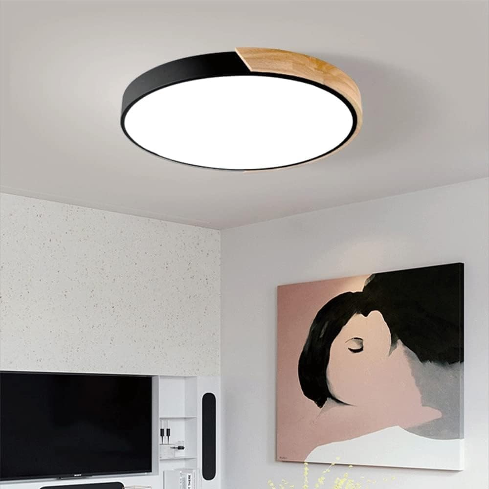 Colorful LED Ceiling Light Fixture – Modern Round Design for Hallway, Dining Room, and Living Room
