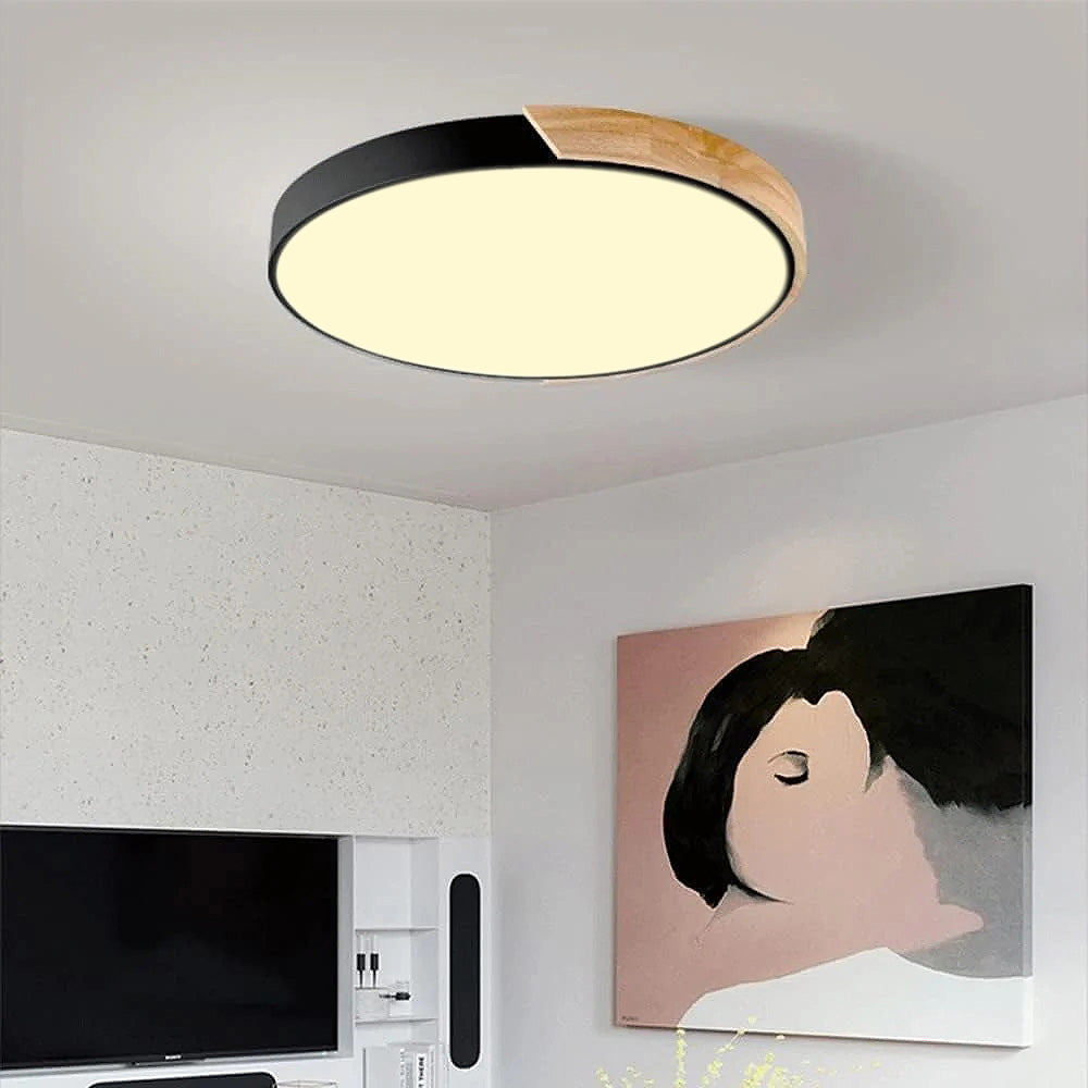 Colorful LED Ceiling Light Fixture – Modern Round Design for Hallway, Dining Room, and Living Room