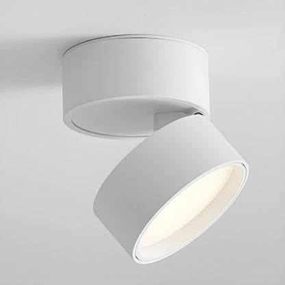 Compact Adjustable Ceiling Spotlight – Energy-Efficient LED Living Room Spotlights in Sleek Aluminum Finish