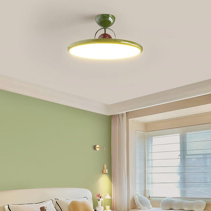 Flush Mount Ceiling Light Fixture with Integrated LED – Nature-Inspired Design for Modern Interiors