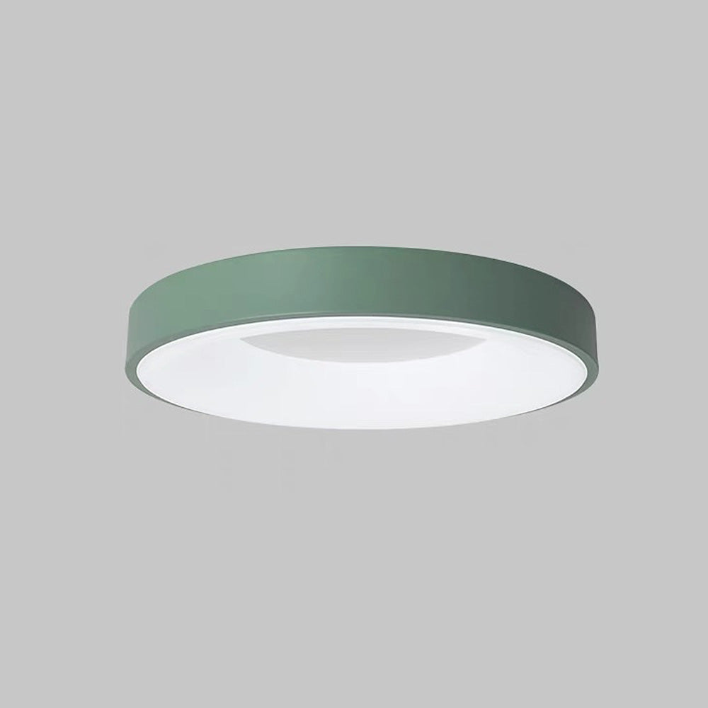 Vibrant Spectrum LED Ceiling Fixtures - Modern Illumination with a Touch of Color