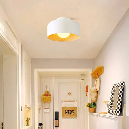 Minimalist Flush Mount Ceiling Light Fixture – Soft Ambient Glow, Customizable G9 LED Bulb Compatible, Modern Iron Design