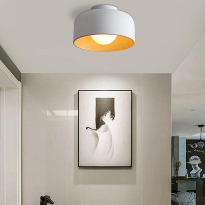 Minimalist Flush Mount Ceiling Light Fixture – Soft Ambient Glow, Customizable G9 LED Bulb Compatible, Modern Iron Design