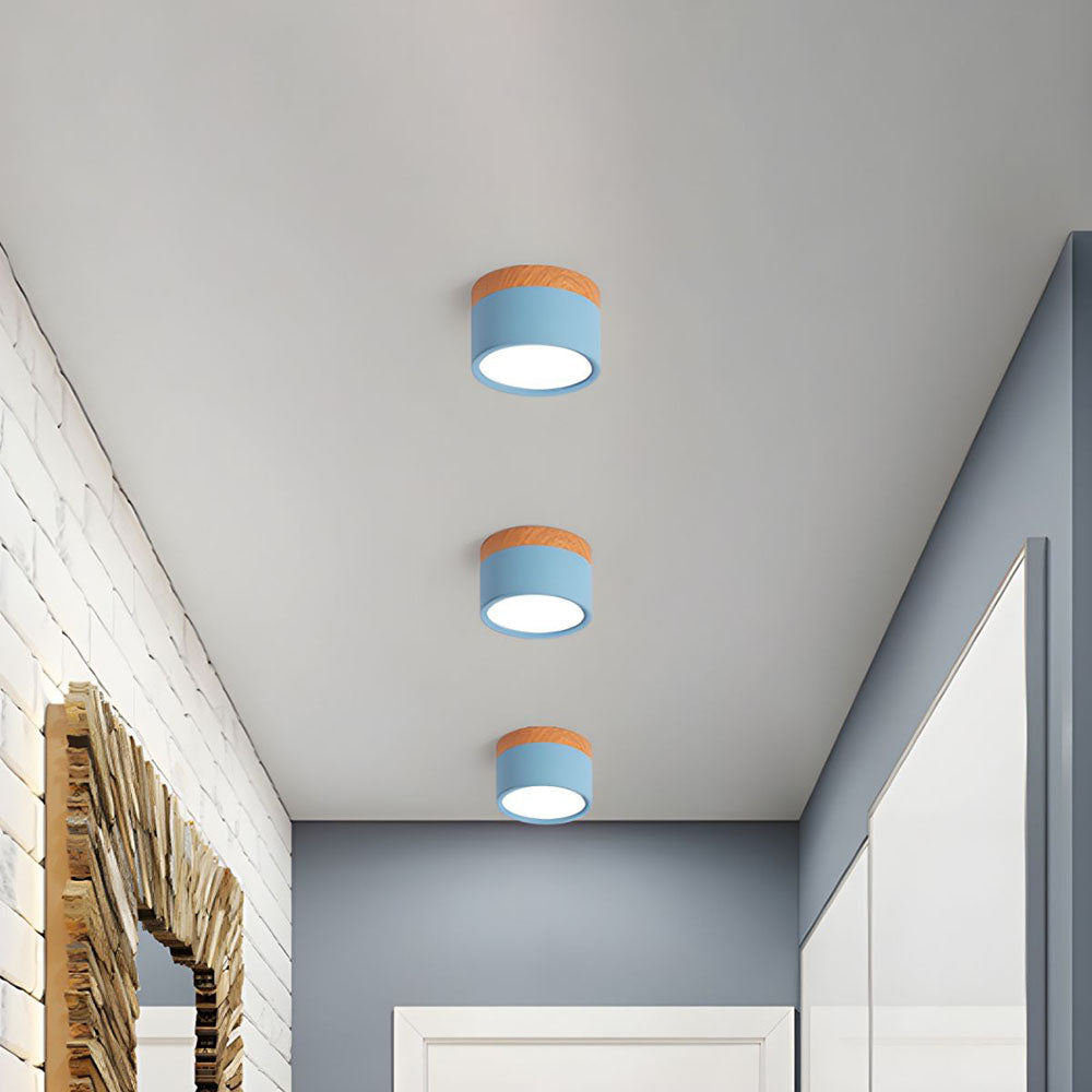 Modern Cylinder Flush Mount Ceiling Light Fixture – Energy Efficient LED Lighting for Hallway, Dining Room, Living Room