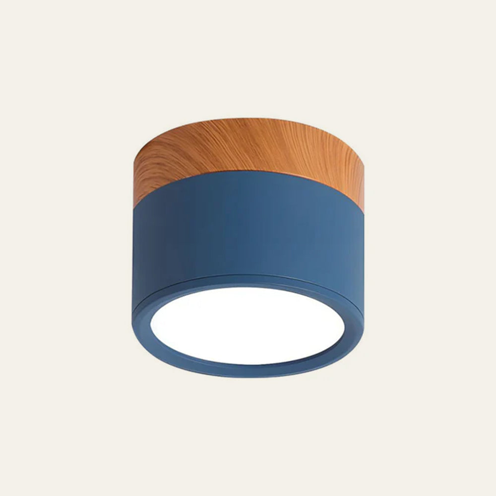 Modern Cylinder Flush Mount Ceiling Light Fixture – Energy Efficient LED Lighting for Hallway, Dining Room, Living Room