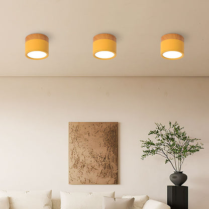Modern Cylinder Flush Mount Ceiling Light Fixture – Energy Efficient LED Lighting for Hallway, Dining Room, Living Room