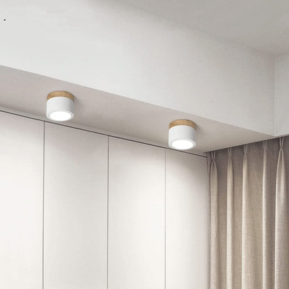 Modern Cylinder Flush Mount Ceiling Light Fixture – Energy Efficient LED Lighting for Hallway, Dining Room, Living Room