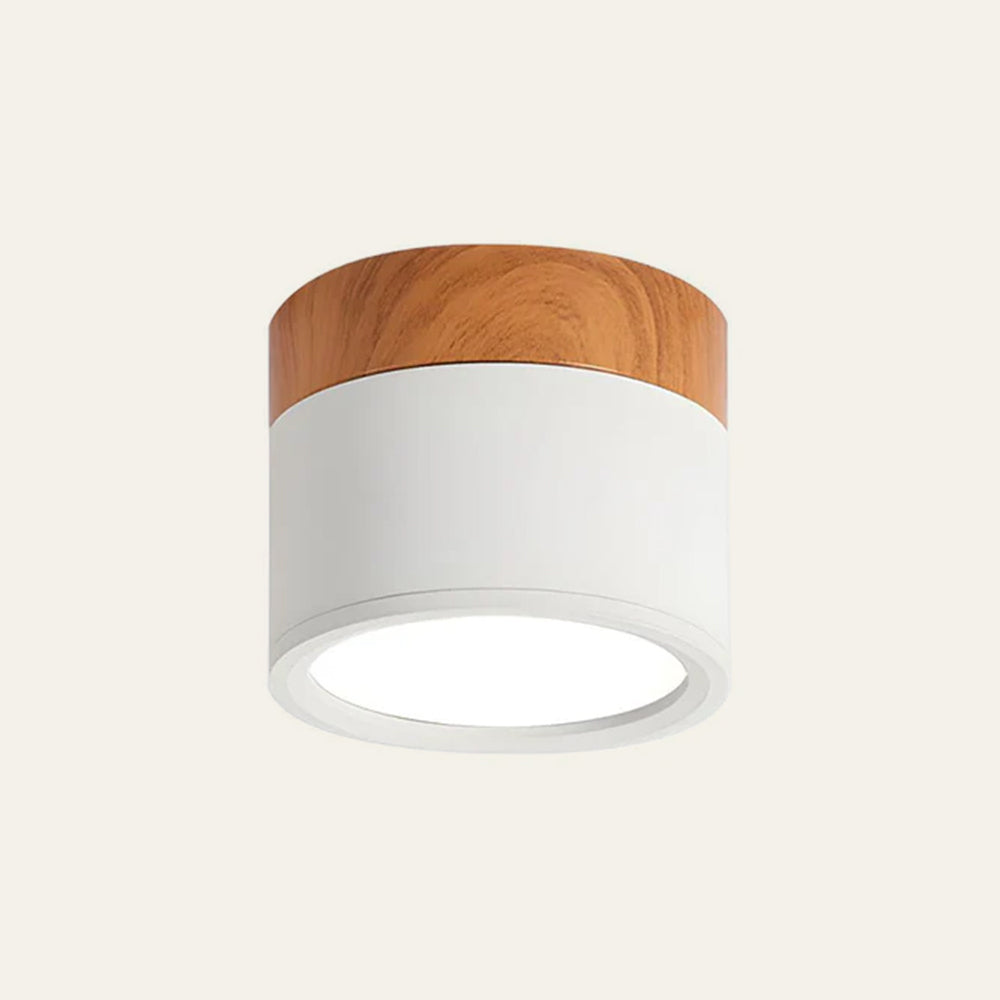 Modern Cylinder Flush Mount Ceiling Light Fixture – Energy Efficient LED Lighting for Hallway, Dining Room, Living Room