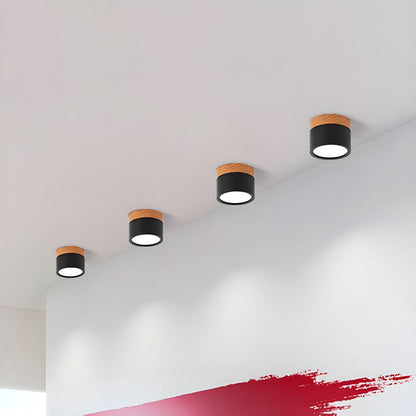 Modern Cylinder Flush Mount Ceiling Light Fixture – Energy Efficient LED Lighting for Hallway, Dining Room, Living Room