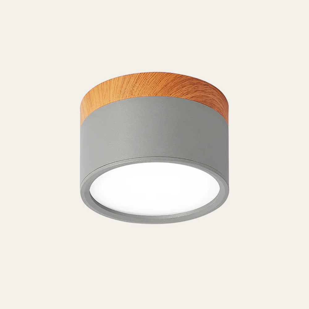Modern Cylinder Flush Mount Ceiling Light Fixture – Energy Efficient LED Lighting for Hallway, Dining Room, Living Room