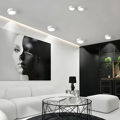 Nordic Style Flush Mount Ceiling Light – Minimalist LED Ceiling Light Fixture for Modern Indoor Spaces