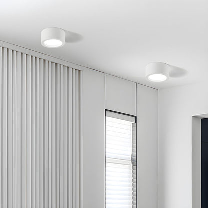 Nordic Style Flush Mount Ceiling Light – Minimalist LED Ceiling Light Fixture for Modern Indoor Spaces