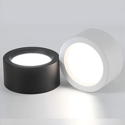 Nordic Style Flush Mount Ceiling Light – Minimalist LED Ceiling Light Fixture for Modern Indoor Spaces