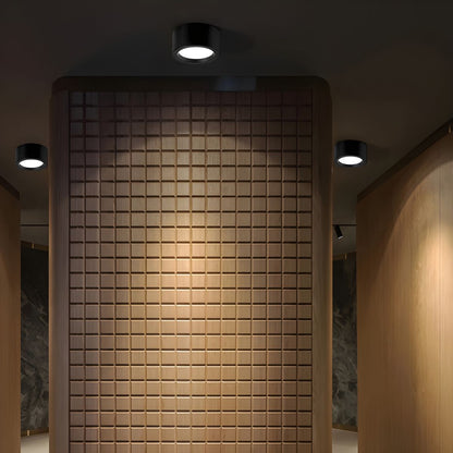 Nordic Style Flush Mount Ceiling Light – Minimalist LED Ceiling Light Fixture for Modern Indoor Spaces